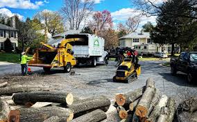 Trusted Chebanse, IL Tree Removal and Landscaping Services Experts